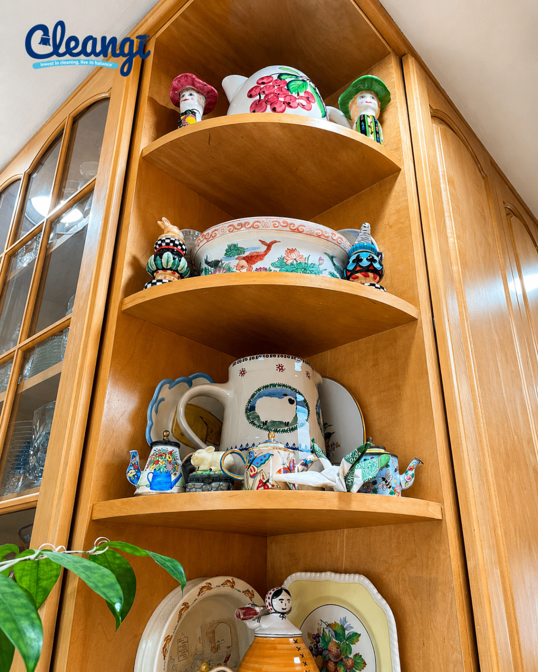 Display cabinet and shelves cleaned in detail